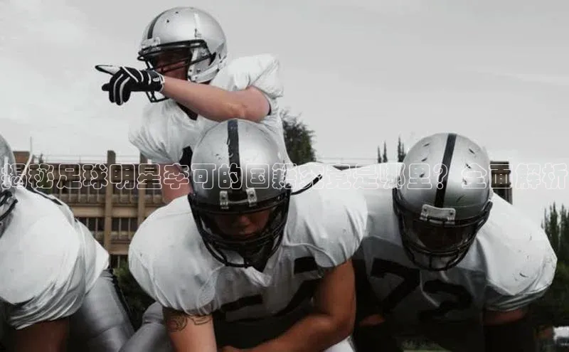 米兰app·体育登录入口百度技术学院揭秘足球明星李可的国籍究竟是哪里？全面解析