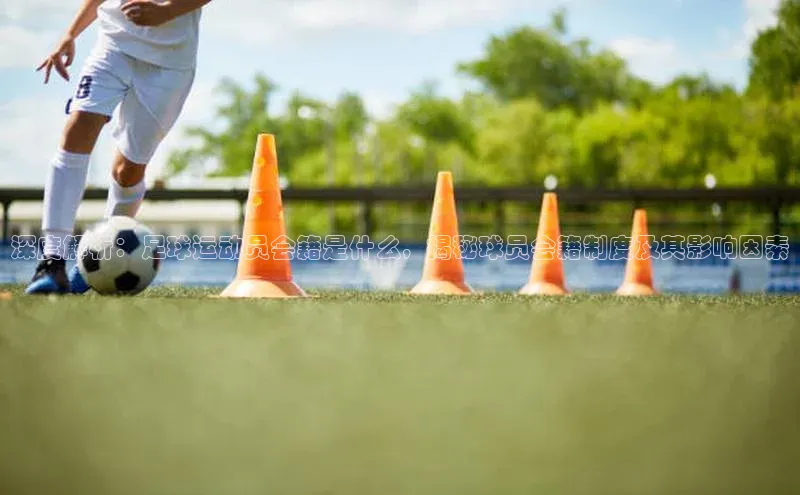 米兰体育全站轻美电器深度解析：足球运动员会籍是什么，揭秘球员会籍制度及其影响因素