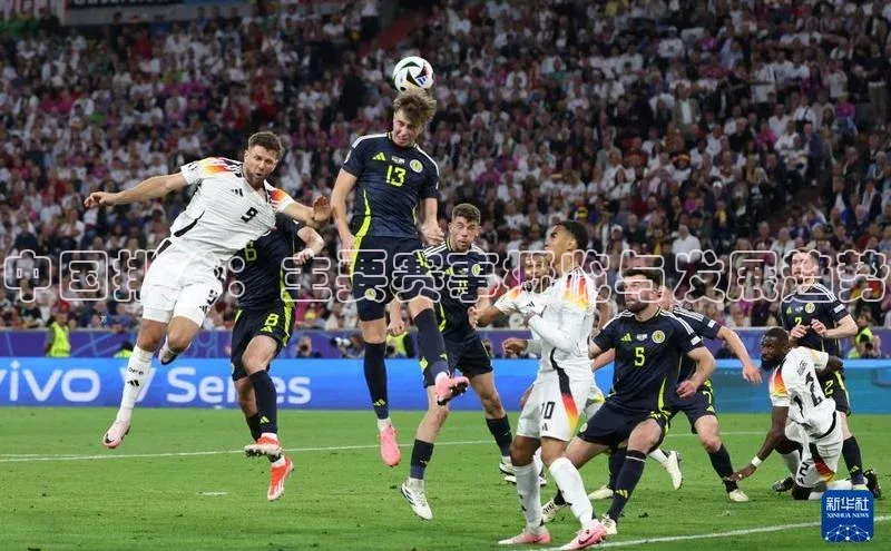 米兰体育全站app官网百度智能门户中国排球：主要赛事概览与发展趋势