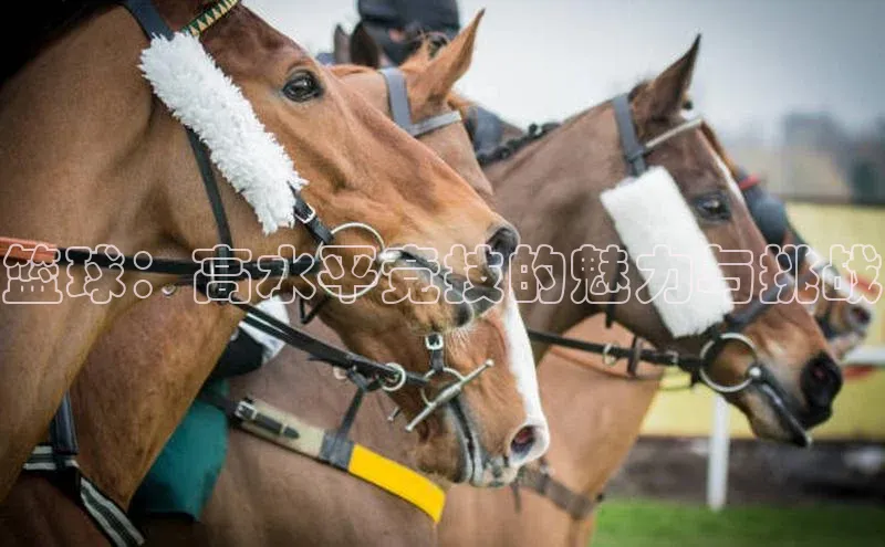米兰体育彩票蓝色光标篮球：高水平竞技的魅力与挑战
