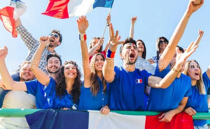 动感与激情：2023年女排世界锦标赛海报设计