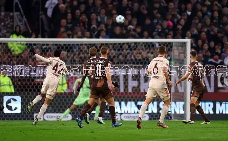 荣耀之路：运动员赛事全面总结与分析报告