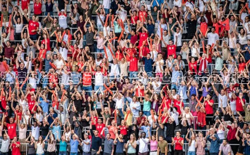 激情四溢的足坛史诗：深度世界杯夺冠历程