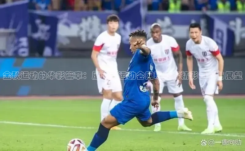 金秋运动的华彩篇章：厦门市运动会网球赛事精彩回顾与展望