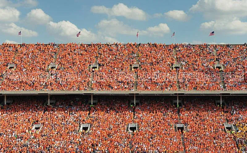 全球体育竞技盛事：从排名到历史见证的国际运动赛事概览