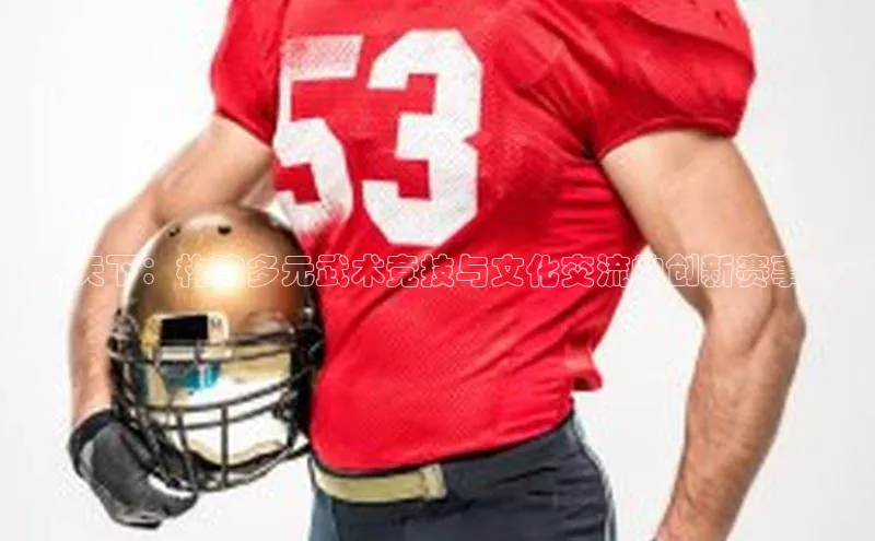 武动天下：构建多元武术竞技与文化交流的创新赛事模式