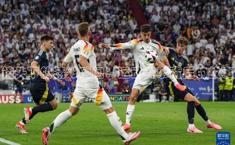 镜头下的精彩瞬间：运动赛事背后的故事