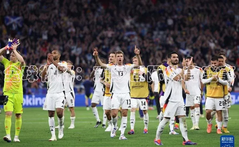 全球视野：顶级国际体育盛事