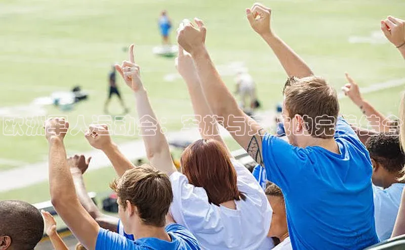 米兰app官方入口下载