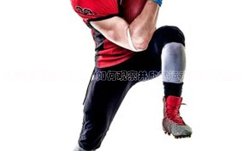 米兰app最新版本下载