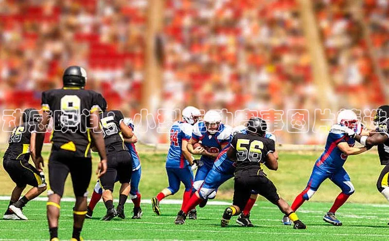 米兰app官网下载安装