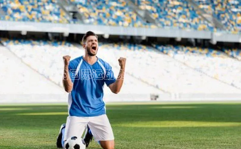 回顾：去年的国际运动赛事精彩瞬间与深度评析