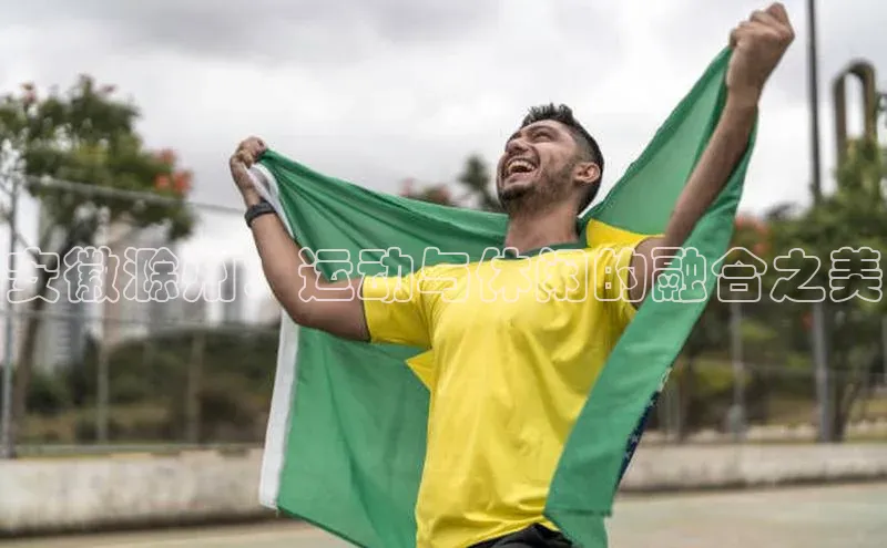 米兰官方手机app网站